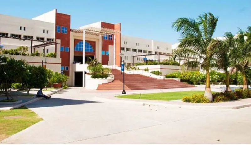 Indore Institute of Management and Research campus
