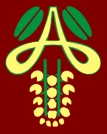Amaltas Institute of Medical Sciences, Dewas logo
