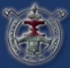 Bahona College logo