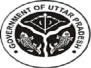 Dr. Shakuntala Misra National Rehabilitation University logo