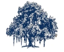 International Institute of Information Technology Hyderabad logo