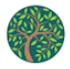 JBR Architecture College logo