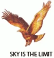 Navjeevan Institute of Management logo