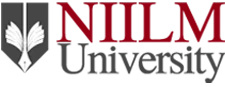 NIILM University logo
