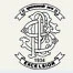 Pes Modern College of Pharmacy logo