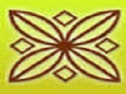 Trident B.Ed College logo
